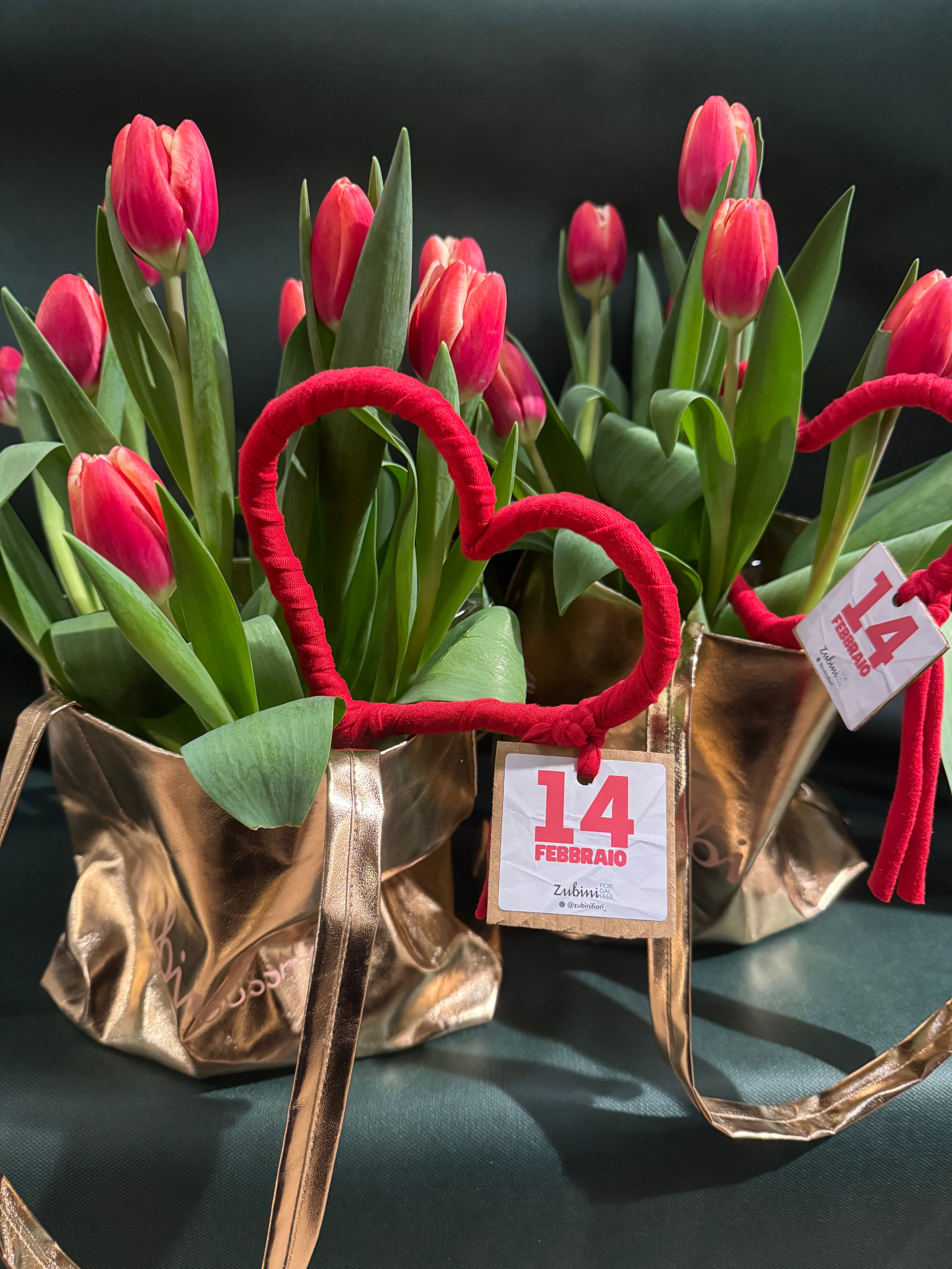 Borsa di Tulipani con bulbo e Cuore